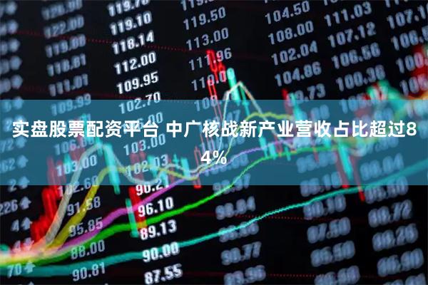 实盘股票配资平台 中广核战新产业营收占比超过84%